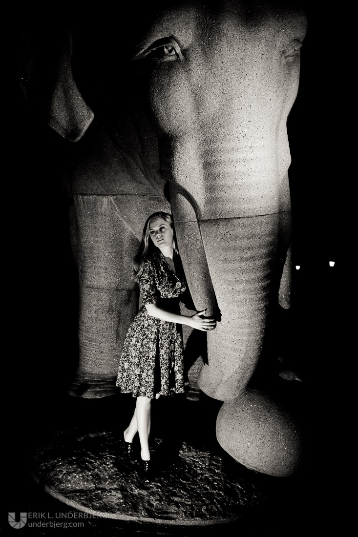 Film Noir elephant